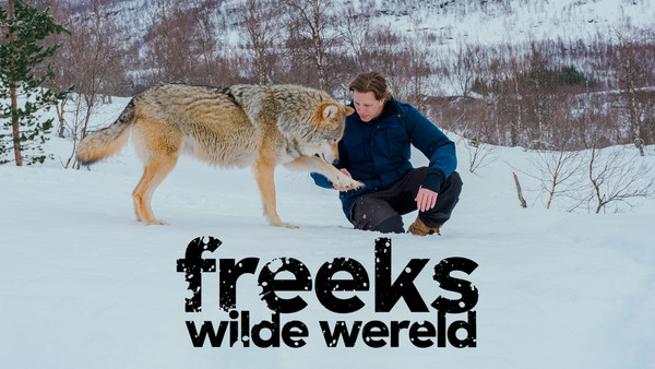 Freeks wilde wereld