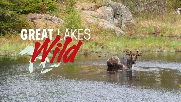 Great Lakes Wild