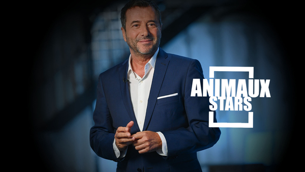 Animaux Stars