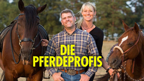 Die Pferdeprofis