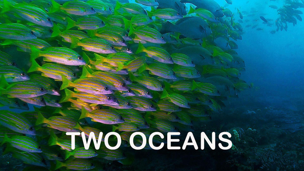 Two Oceans