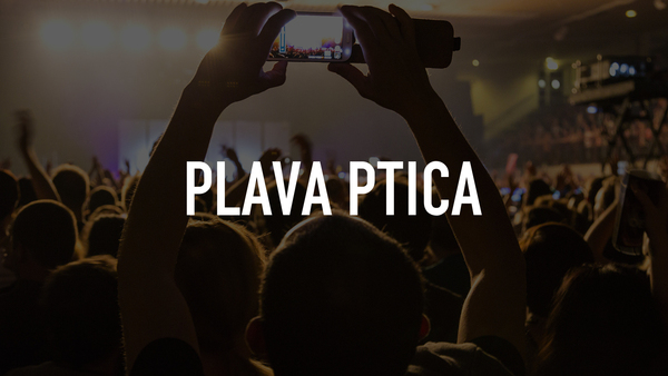 Plava ptica