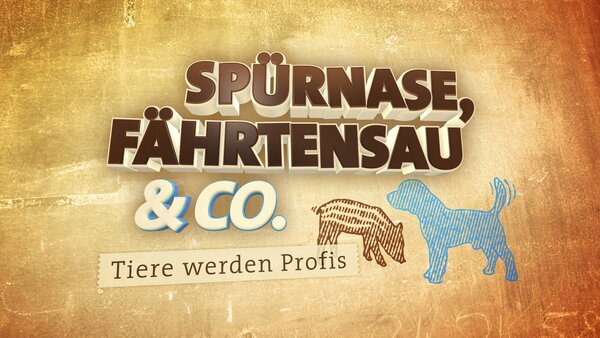 Spürnase, Fährtensau & Co