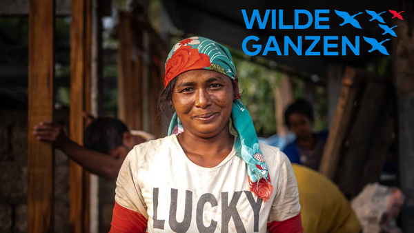 Wilde Ganzen