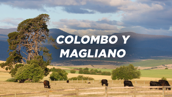 Colombo y Magliano