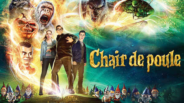 Chair de poule