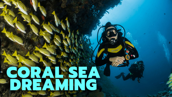 Coral Sea Dreaming