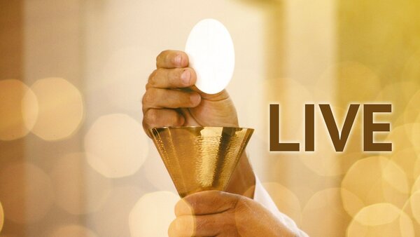 LIVE