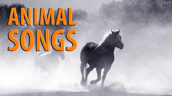 Animal Songs