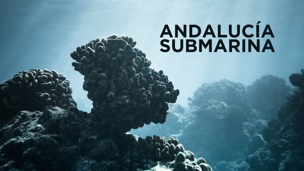 Andalucía submarina