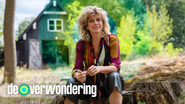 De verwondering
