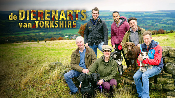 De dierenarts van Yorkshire