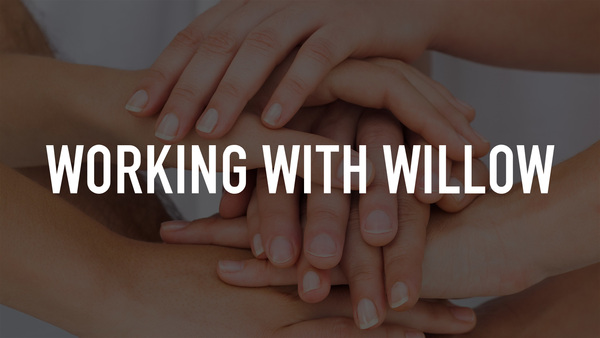 Working With Willow
