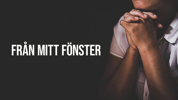 Från mitt fönster