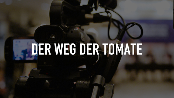 Der Weg der Tomate
