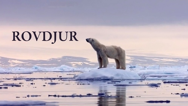 Rovdjur