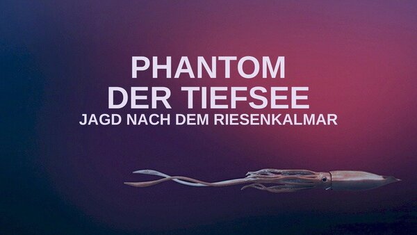 Phantom der Tiefsee - Jagd nach dem Riesenkalmar