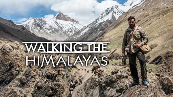 Walking the Himalayas