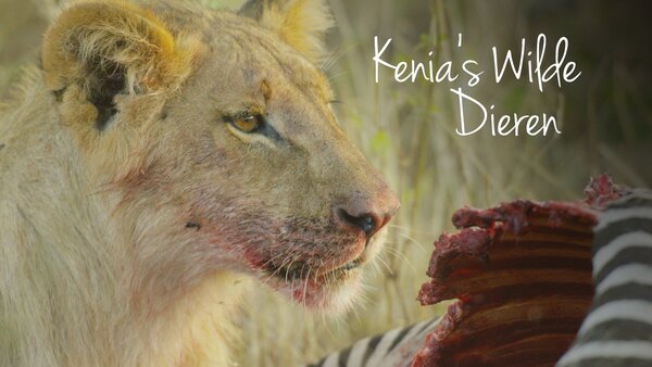 Kenia's wilde dieren