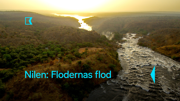 Nilen: flodernas flod