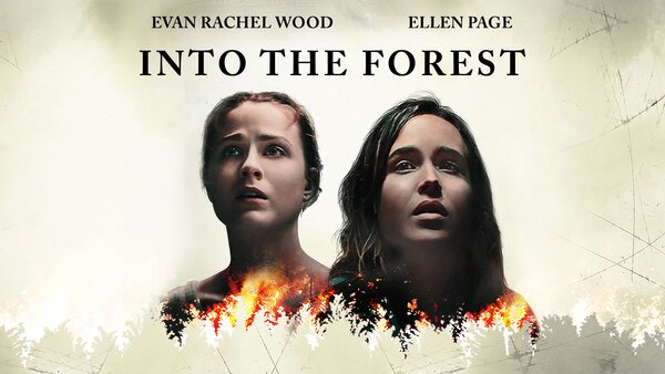 Into the Forest