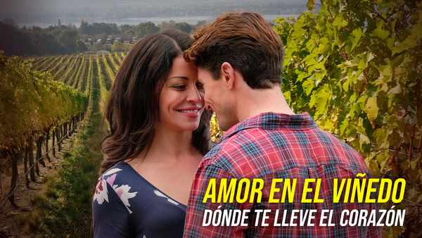 Amor en el viñedo - Dónde te lleve el corazón