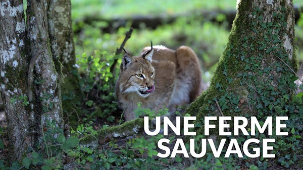 Une ferme sauvage