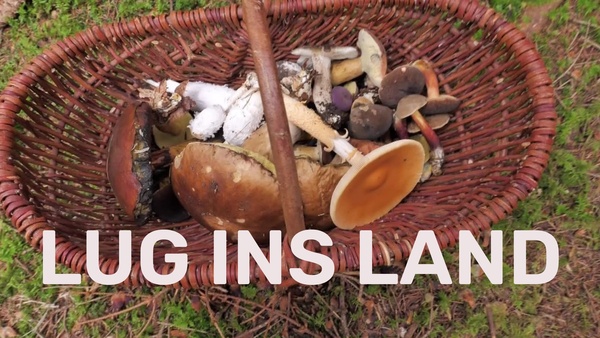 Lug ins Land