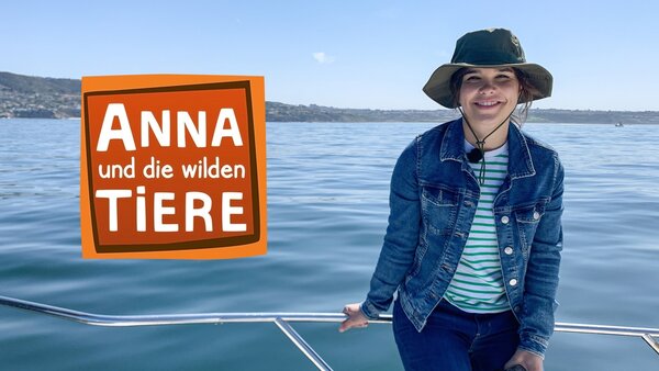 Anna und die wilden Tiere