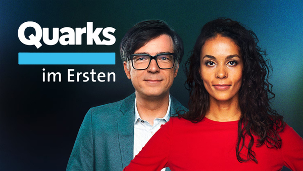 Quarks im Ersten