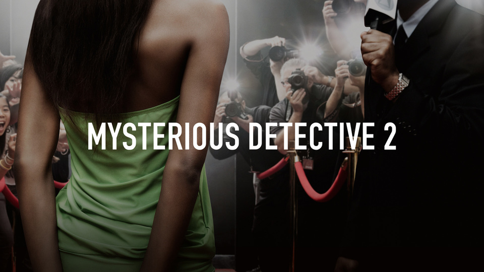 Mysterious Detective 2