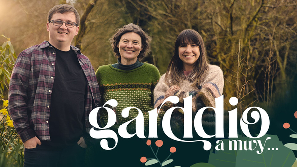 Garddio A Mwy