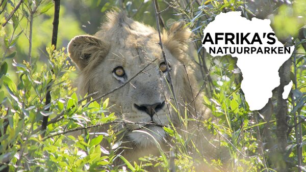 Afrika's natuurparken