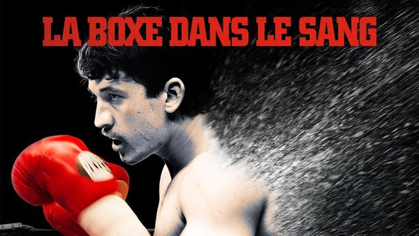 La boxe dans le sang