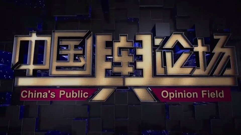 China's Public Opinion Field