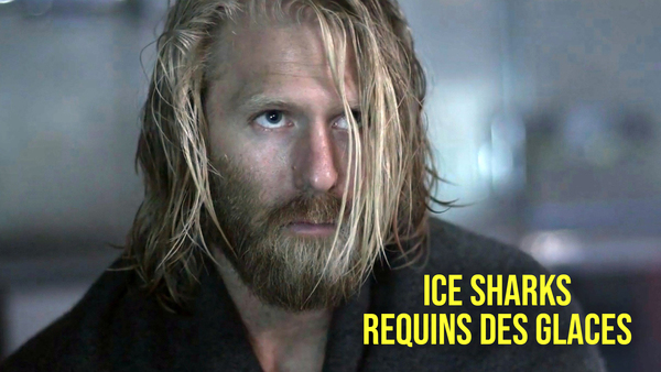 Ice sharks: requins des glaces