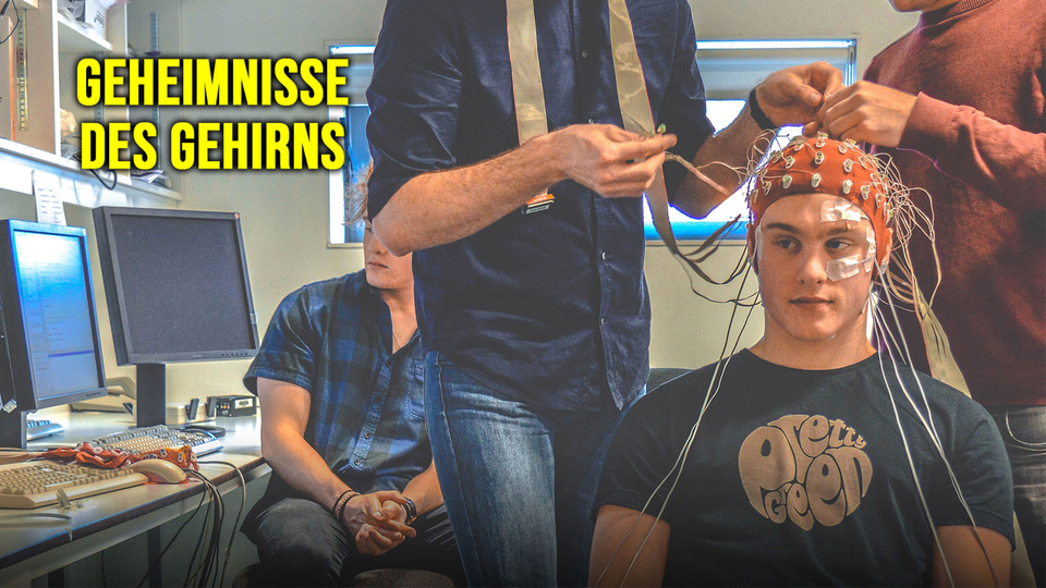 Geheimnisse des Gehirns
