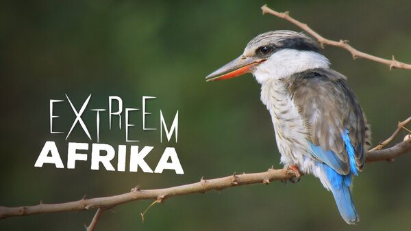 Extreem Afrika
