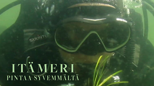 Itämeri pintaa syvemmältä