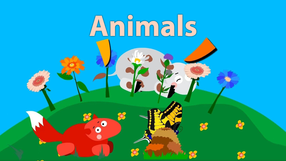 Animals