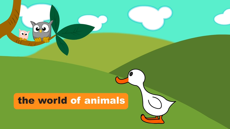 The World of Animals
