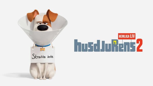 Husdjurens hemliga liv 2