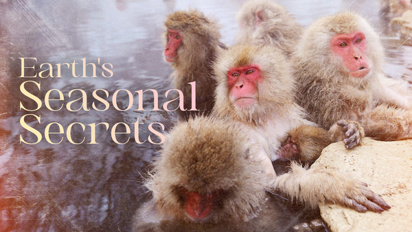 Earth's Seasonal Secrets
