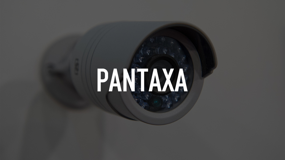 Pantaxa