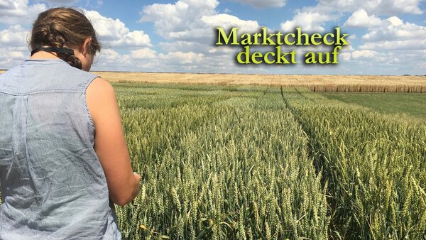 Marktcheck deckt auf
