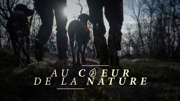 Au cœur de la nature