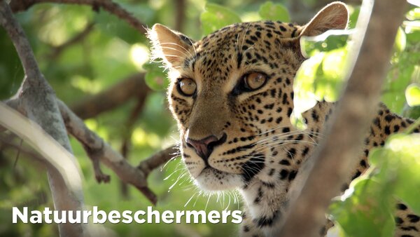 Natuurbeschermers