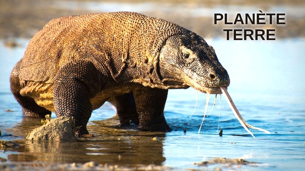 Planète Terre