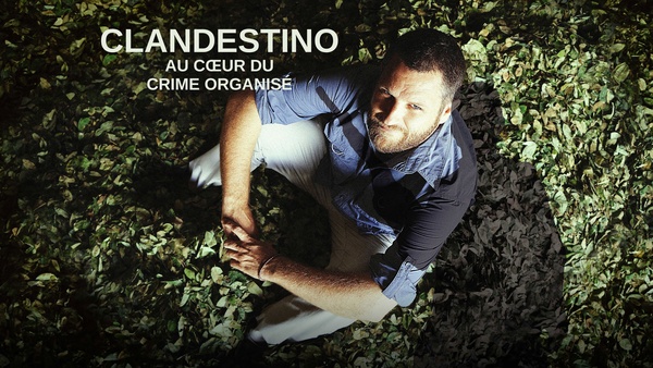 Clandestino : au cœur du crime organisé