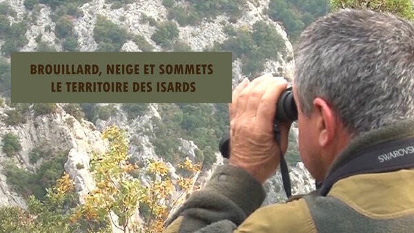 Brouillard, neige et sommets : Le territoire des isards